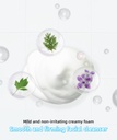 KAHI Cream Cleansing Foam
