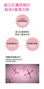 KAHI WRINKLE BOUNCE COLLAGEN MIST AMPOULE