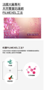 KAHI WRINKLE BOUNCE COLLAGEN MIST AMPOULE